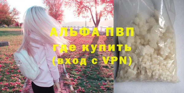 тгк Лагань