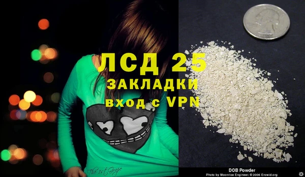 амф Кулебаки